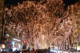 SENDAI 光のページェント 2013