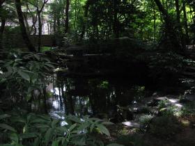 良覚院丁茶室　アプローチと前庭