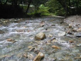 奥新川の清流