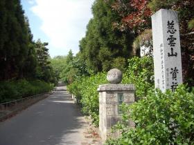 資福寺　あじさい成長記