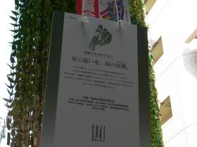 2015藤崎前の七夕