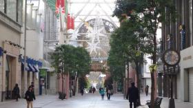 藤崎のビッグツリー 2009