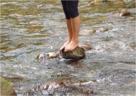 小さな秋　−奥新川の芋煮−