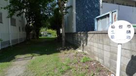 仙台市土樋緑地