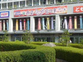 仙台市役所の七夕飾り