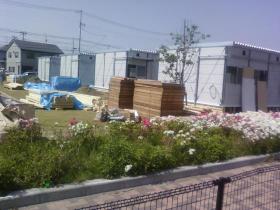 公園に仮設住宅