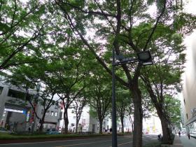 街灯の伊達政宗／青葉通