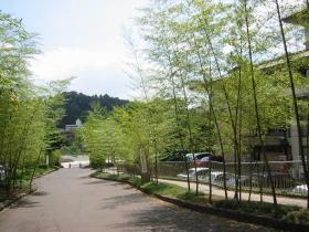 片平市民センターとそのアプローチ