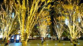 トラストシティのイルミネーション